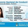 Buy Argentina Drivers License