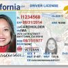 Buy California Driving License